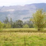 Farms for sale land for sale sopo - Buy in colombia